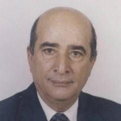 Dean of Engineering Faculty, Professor in Mechanical Engineering Department, Cairo University