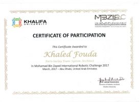 Certificate of Participating in MBZIRC-2017