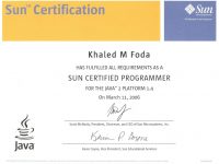 Sun™ Certified Programmer