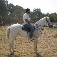 Horse Riding