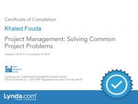 Project Management Solving Common Project Problems Certificate