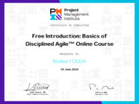 Basics of Disciplined Agile™